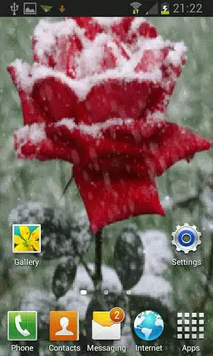 Play Icy Red Rose Live Wallpaper as an online game Icy Red Rose Live Wallpaper with UptoPlay