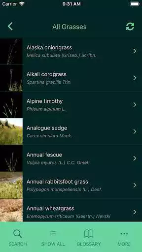 Play Idaho Grasses  and enjoy Idaho Grasses with UptoPlay