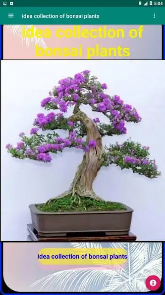 Play idea collection of bonsai plants  and enjoy idea collection of bonsai plants with UptoPlay