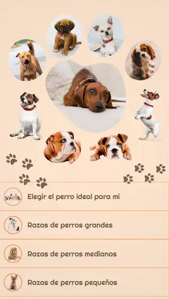 Play Ideal dog breed  and enjoy Ideal dog breed with UptoPlay