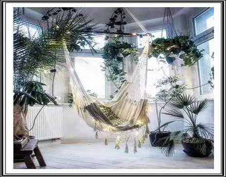 Play Ideas Indoor Plants  and enjoy Ideas Indoor Plants with UptoPlay