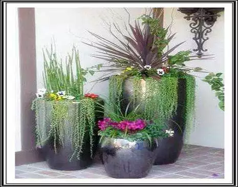 Play Ideas Indoor Plants as an online game Ideas Indoor Plants with UptoPlay