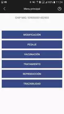 Play Identia Play Identia