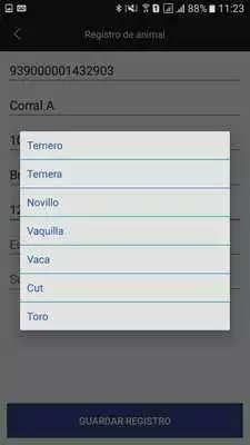 Play Identia Play Identia