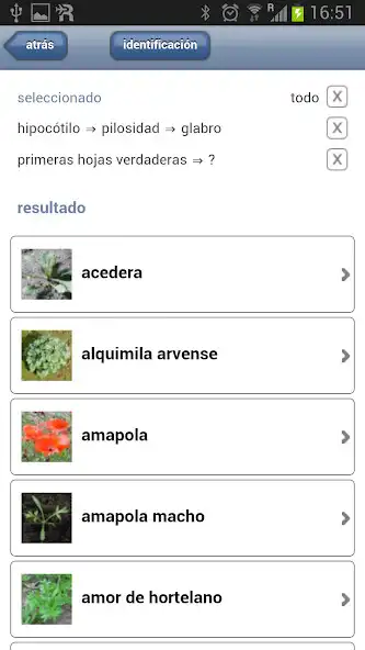 Play Identificación de plántulas as an online game Identificación de plántulas with UptoPlay