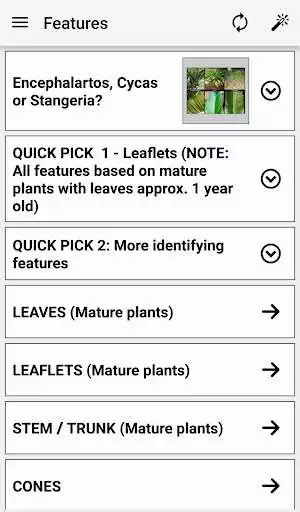 Play APK IDentifyIt Cycads  and enjoy IDentifyIt Cycads with UptoPlay com.lucidcentral.mobile.sanbi.cycad_id