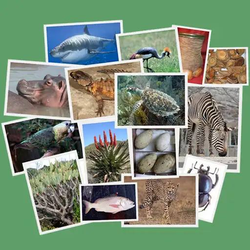 Run free android online IDentifyIt Species APK