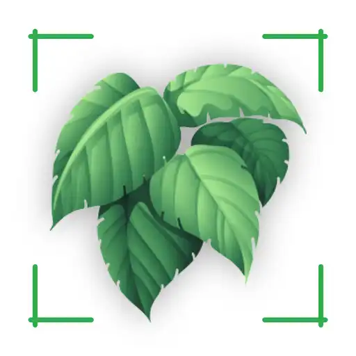 Play identify plant weed by photo APK Play identify plant weed by photo APK