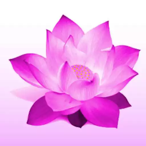 Free play online iDhammapada APK Free play online iDhammapada APK