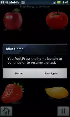 Play Idiot Test - Lite
