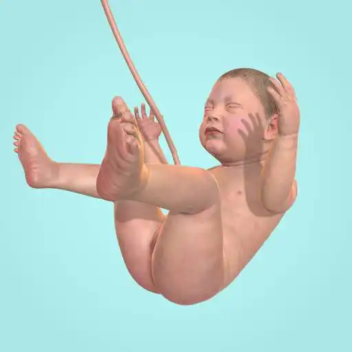 Play Idle 9 Months APK Play Idle 9 Months APK