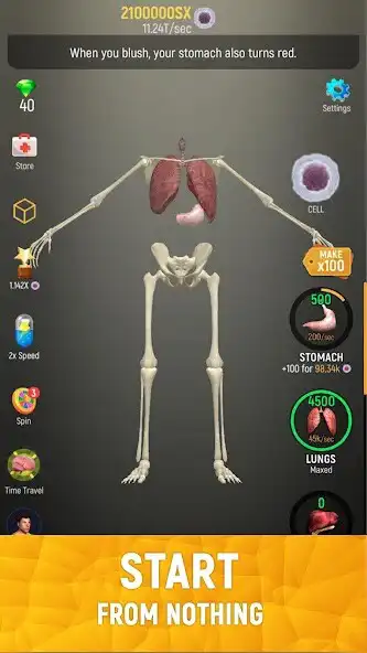 Play Idle Human as an online game Idle Human with UptoPlay