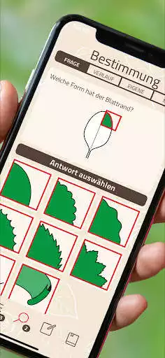 Play ID-Logics as an online game ID-Logics with UptoPlay