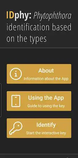 Play IDphy  and enjoy IDphy with UptoPlay