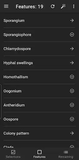 Play IDphy as an online game IDphy with UptoPlay