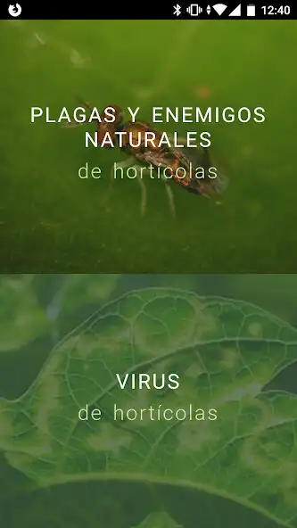 Play IFAPA Guía Plagas  and enjoy IFAPA Guía Plagas with UptoPlay