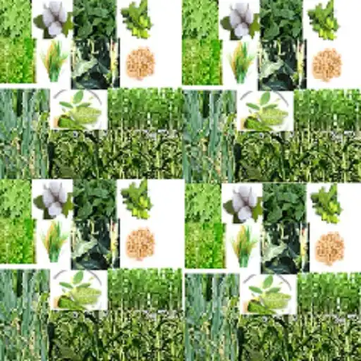 Play IFC-CROPSAP APK