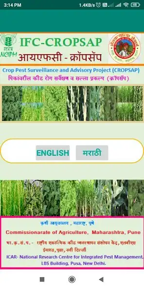 Play IFC-CROPSAP as an online game IFC-CROPSAP with UptoPlay