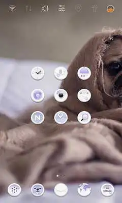 Play I feel cold launcher theme