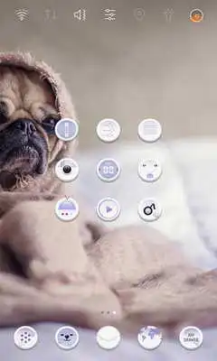 Play I feel cold launcher theme