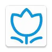 Free play online iFlower APK