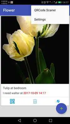 Play iFlower Play iFlower