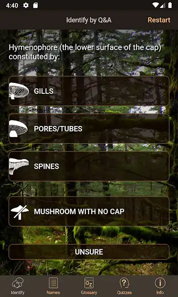 Play iFungi AU - Australian mushroom identification  and enjoy iFungi AU - Australian mushroom identification with UptoPlay