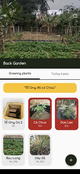 Play iGardening: gardening helper as an online game online iGardening: gardening helper with UptoPlay Play iGardening: gardening helper as an online game iGardening: gardening helper with UptoPlay