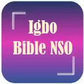 Free play online IGBO BIBLE(BIBLE NSO) APK