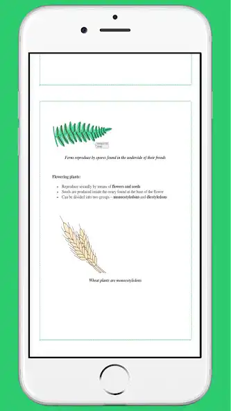 Play IGCSE biology notes as an online game IGCSE biology notes with UptoPlay