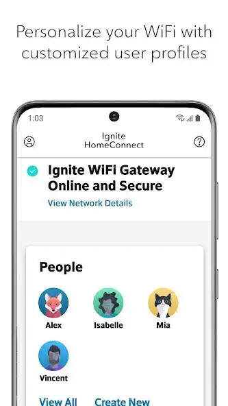 Play Ignite HomeConnect (WiFi Hub)  as an online game Ignite HomeConnect (WiFi Hub)  with UptoPlay
