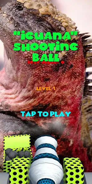 Play Iguana Shooting Ball as an online game online Iguana Shooting Ball with UptoPlay Play Iguana Shooting Ball as an online game Iguana Shooting Ball with UptoPlay