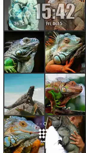 Play Iguana Wallpaper  and enjoy Iguana Wallpaper with UptoPlay