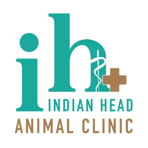 Play IH Animal APK Play IH Animal APK
