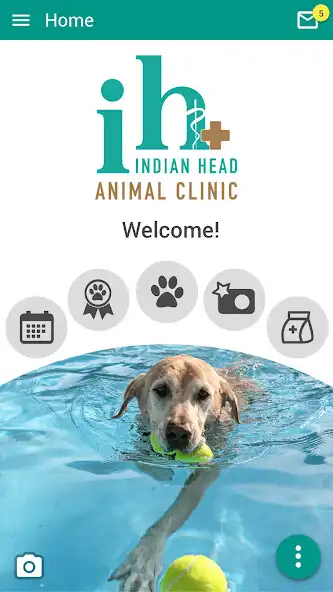 Play IH Animal  and enjoy IH Animal with UptoPlay
