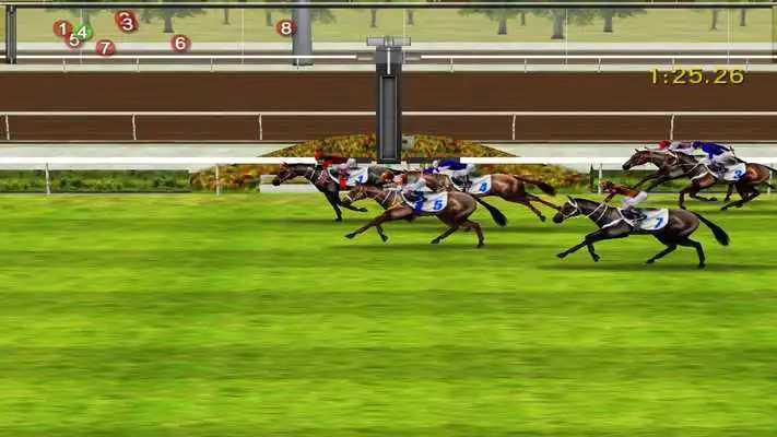 Play iHorse Racing