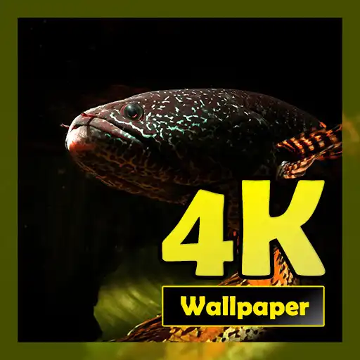 Play Ikan Channa Wallpaper 4K APK