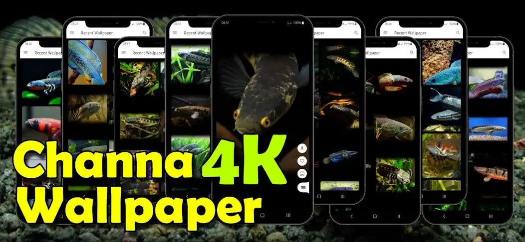 Play Ikan Channa Wallpaper 4K as an online game online Ikan Channa Wallpaper 4K with UptoPlay Play Ikan Channa Wallpaper 4K as an online game Ikan Channa Wallpaper 4K with UptoPlay