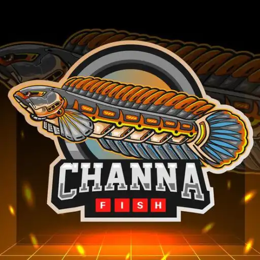 Play Ikan Channa Wallpaper APK