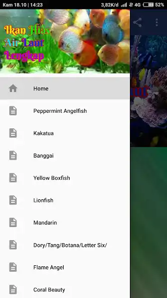 Play Ikan Hias Air Laut Lengkap  and enjoy Ikan Hias Air Laut Lengkap with UptoPlay