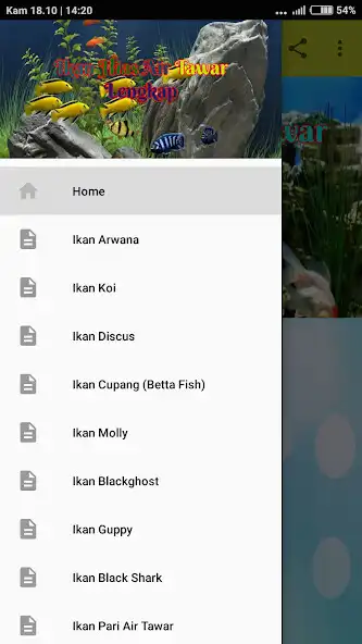 Play Ikan Hias Air Tawar Lengkap  and enjoy Ikan Hias Air Tawar Lengkap with UptoPlay