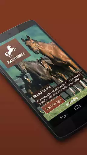 Play iKnow Horses 2 LITE and enjoy iKnow Horses 2 LITE with UptoPlay Play iKnow Horses 2 LITE and enjoy iKnow Horses 2 LITE with UptoPlay