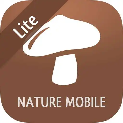 Run free android online iKnow Mushrooms 2 LITE APK