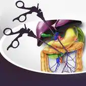 Free play online iLappVIP APK