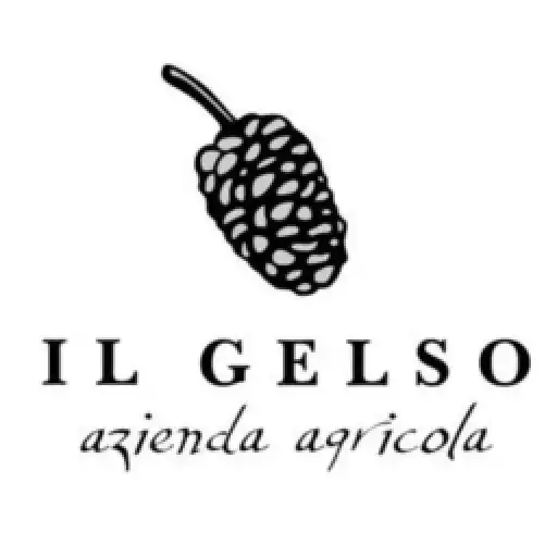 Play Il Gelso APK Play Il Gelso APK