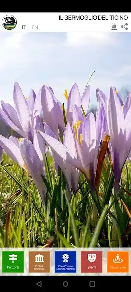 Play Il germoglio del Ticino  and enjoy Il germoglio del Ticino with UptoPlay
