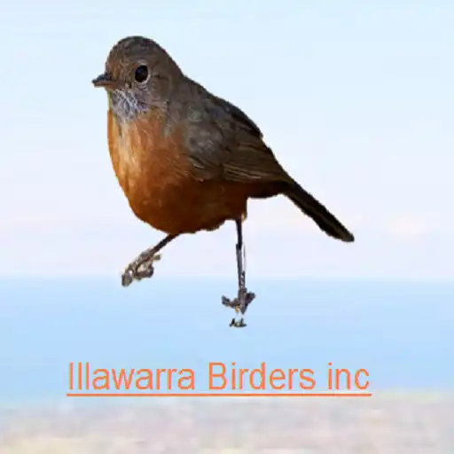 Play Illawarra Birders Inc APK Play Illawarra Birders Inc APK