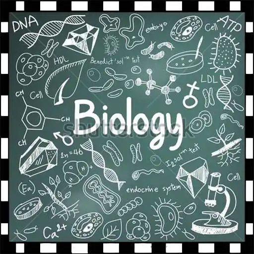 Play Ilmu Biologi APK Play Ilmu Biologi APK