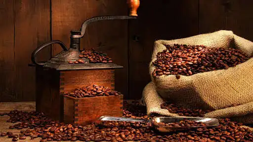 Play i love coffee wallpaper