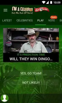 Play Im A Celebrity...!